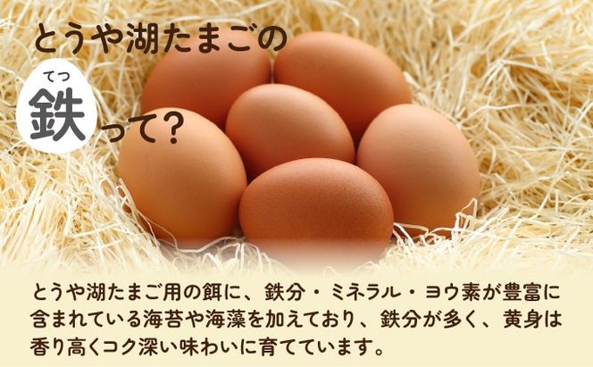 【6ヵ月 定期便】 北海道 伊達市 とうや湖 卵 鉄  60個 入り たまご
