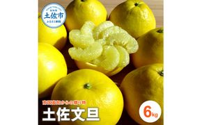 【先行予約】『南国高知からの贈り物』土佐文旦 訳あり（家庭用）6kg＜2027年2月下旬頃～発送＞ 6キロ 文旦 サイズ混合 期間限定 数量限定 ぶんたん ブンタン 柑橘 みかん 果物 果肉 フルーツ 甘い 美味しい プリプリ ふるさと納税 【ファーマーズマーケットひなた】[BQBT002]