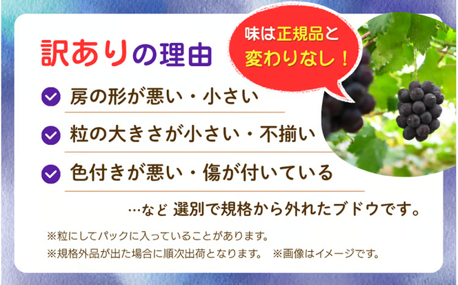 【2026年の先行予約です】 ぶどう 訳あり 花笑み農園の ニューピオーネ 1kg hana33. / ぶどう ブドウ 葡萄 岡山 ピオーネ 先行予約 フルーツ 果物 真庭市 【hana033-02】