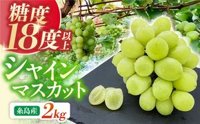 【先行受付】【糖度18度以上】 糸島産 シャインマスカット 2kg 【2026年8月中旬より順次発送】糸島市 / 和饗エコファーム フルーツ 果物[AVI007] シャインマスカット マスカット ぶどう ブドウ フルーツ 果物 甘い 高糖度