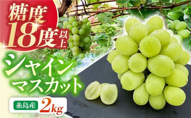 yszystzyx18xȏz Y VC}XJbg 2kg y2026N8{菇zs / aGRt@[ t[c ʕ[AVI007] VC}XJbg }XJbg Ԃǂ uhE t[c ʕ Â x