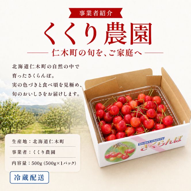 2027年発送 北海道 仁木町産 さくらんぼ 500g 佐藤錦または紅秀峰 果樹 サクランボ チェリー フルーツ 果物 果物類 ギフト 仁木町 仁木 [くくり農園]