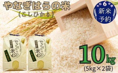 【令和6年産 新米予約】「やなぎはらの米　こしひかり」10㎏ (6-40)