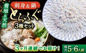 【3回定期便】南島原ふぐ三昧コース ５〜6人前 / ふぐ フグ 河豚 トラフグ ふぐ刺し / 南島原市 / 大和庵[SCJ032]