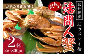 【訳あり！！幻のズワイ蟹】　京丹後産　活間人蟹　鮮度抜群、活きたままお届け！！ 800g級（足1本落ち）×2杯　YK00069 