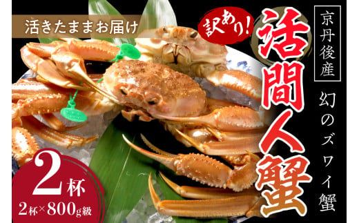 【訳あり！！幻のズワイ蟹】　京丹後産　活間人蟹　鮮度抜群、活きたままお届け！！ 800g級（足1本落ち）×2杯　YK00069