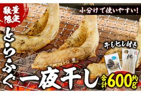 とらふぐ 一夜干し セット(合計約600g・一夜干し200g×3P 干しヒレ10g×1P) 干物 ふぐ 河豚 一夜干し おつまみ 小分け ヒレ ヒレ酒 佐伯 国産【EA25】【(株)トーワ】