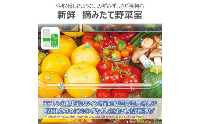 東芝　冷蔵庫【標準設置費込み】　509L　6ドア　両開き　冷凍冷蔵庫　GR-A510FH(EW) 【kw0240-0486】