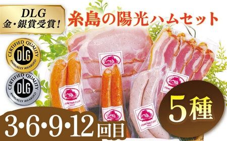 【全12回定期便】 ウインナー / ハンバーグ / ハム 月替り セット 糸島市 / 志摩スモークハウス 生ハム ベーコン [AOA040]