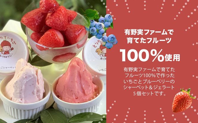 農園で育てたフルーツを100％使用! 有野実ファームのアイス詰め合わせセット SMN008