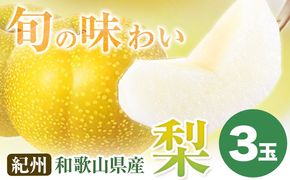 紀州和歌山県産の梨 3玉 化粧箱入 魚鶴商店《8月中旬-9月上旬頃出荷(土日祝除く)》和歌山県 日高町 和歌山県産 梨 なし ナシ 贈り物 ギフト----wsh_uot50_8c9j_24_10000_3t---