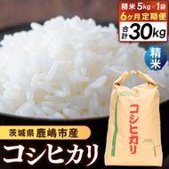 ★令和7年産★【6ヶ月定期便】 米 コシヒカリ5kg×6回 (精米) 鹿嶋市産【こしひかり 茨城県 鹿嶋市 80000円以内】（KDS-9）