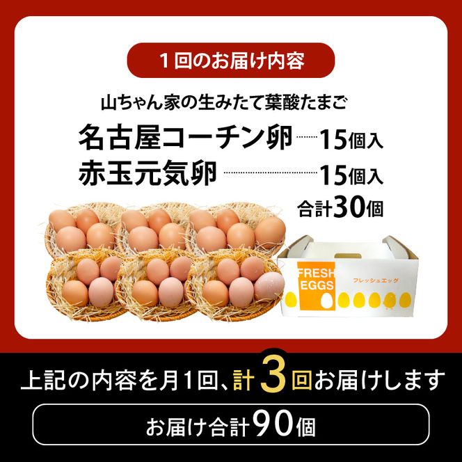 【3ヶ月定期便】【山ちゃん家の生みたて葉酸たまご】名古屋コーチン卵・赤玉元気卵 食べ比べセット（各15個 合計30個入り）［132Y09-T］3ヶ月定期便 山ちゃん家 生みたて 葉酸たまご 名古屋コーチン卵 赤玉元気卵 食べ比べ セット 各 15個 合計 30個 入り 地鶏 卵 朝食 卵焼き 目玉焼き オムライス ゆでたまご 山田養鶏 お取り寄せ 愛知県 小牧市 送料無料