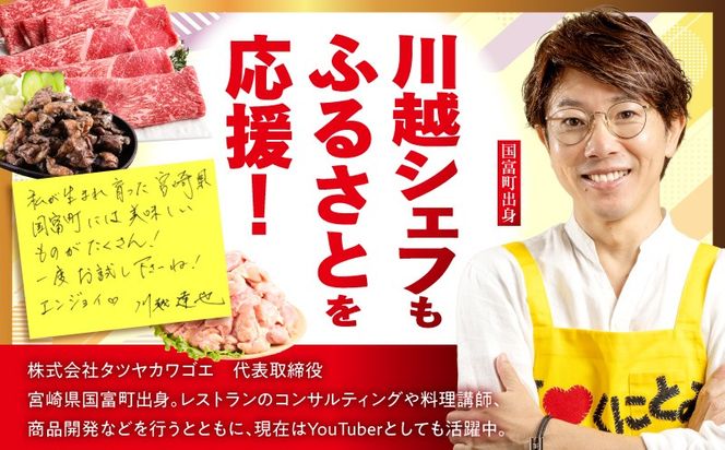 宮崎県産若鶏切身5.1kg 鶏肉 お肉 肉 とり肉 もも肉 むね肉 国産 おかず 小分け カット済み パック ストック 便利 普段使い_kn060-006
