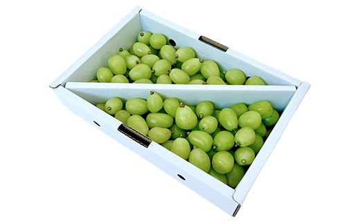 FYN6-638 山形県産 大粒ぶどう シャインマスカット 粒 1kg 種無し 葡萄 ぶどう ブドウ マスカット 果物 くだもの フルーツ 自宅 家庭 山形県 西川町 月山