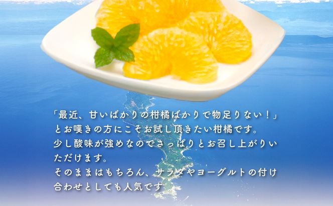 【先行予約】サンフルーツ（生果3kg）※離島への配送不可（2026年2月上旬より順次発送予定） IKTBD012