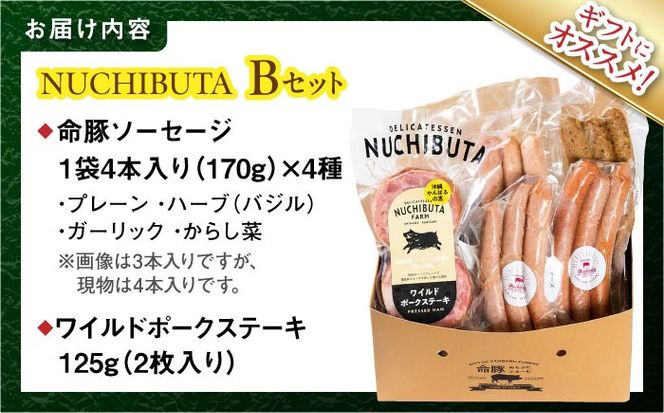 『NUCHIBUTA Bセット』 豚肉 ポークステーキ ソーセージ 詰め合わせ お取り寄せ 国産 ギフト 冷凍 沖縄市 / DELICATESSEN NUCHIBUTA [BCAR004]