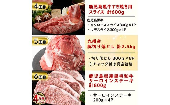【定期便・全6回】お肉のお楽しみ定期便 総量9.9kg t0122-001