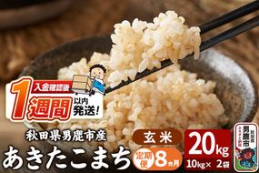 令和8年産新米《定期便8ヶ月》あきたこまち 玄米 20kg（10kg×2袋） 吉運商店 秋田県 男鹿市 お米 お弁当 おにぎり [新米 米 こめ コメ 玄米 あきたこまち 秋田県 男鹿市 20kg]|23_ysu-222008b