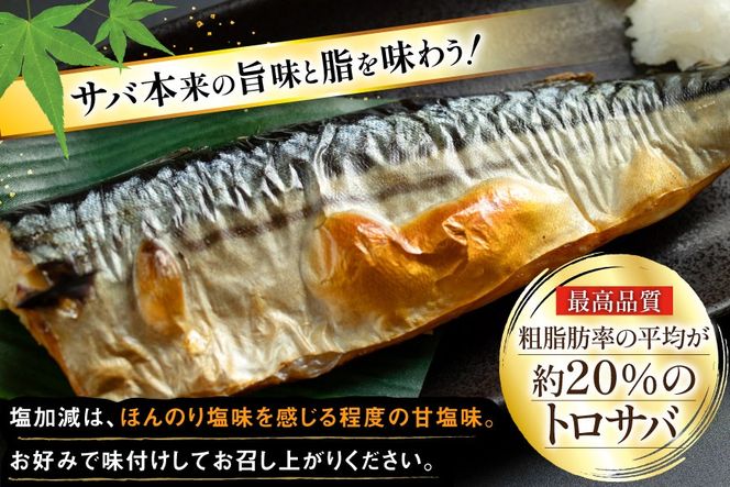 訳あり 減塩 無添加 トロ塩サバ フィレ Mサイズ 総重量 3kg (15-21枚入) [足利本店 宮城県 気仙沼市 20565687] 魚介類 魚 大容量 サバ さば 鯖 トロサバ トロさば とろサバ 塩分控えめ 切り身 冷凍 訳アリ
