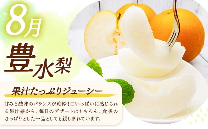 梨 定期便 秀品 3ヶ月連続 梨の定期便 選べる 内容量 計5.4kg 計9kg 計15kg 日本フルーツ株式会社《8月上旬-10月末頃出荷》熊本県 長洲町 なし ナシ 豊水梨 秋月梨 新高梨 果物 フルーツ---sn_cnfzntei_29500_mini_aug3---