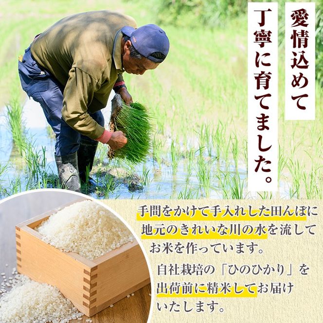 鹿児島県産のお米 ひのひかり(計10kg・5kg×2袋) 国産 白米 自社精米 ご飯 おこめ おにぎり お弁当 ひのひかり【谷口ファーム】akn064-08