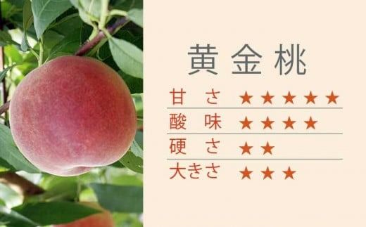 黄金桃 約3kg 7～12玉 ［小布施屋］ 桃 もも モモ フルーツ 果物 令和7年産 【2025年8月下旬発送】 ［A-11］