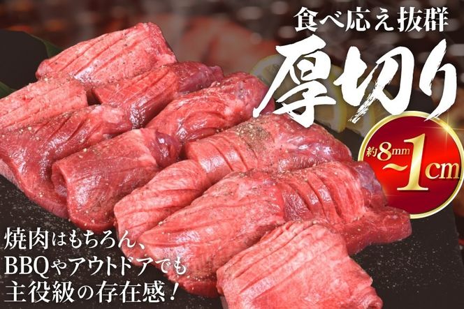 厚切り 牛タン 500g 2p 計1kg 大容量 [亀山精肉店 宮城県 気仙沼市 20564898] 精肉 肉 牛肉 牛たん 牛タン ぎゅうたん タン 厚切り 冷凍 焼肉 焼き肉 BBQ アウトドア