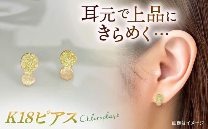 K18 まる ピアス ダイヤタガネ 糸島市 / Chloroplast / クロロプラスト ジュエリー[ALF013] アクセサリー ジュエリー K18 ピアス ゴールド 手作り ハンドメイド