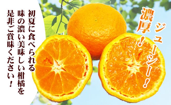 【 小豆島 】 南津海 （ なつみ ） みかん 約5kg 柑橘 ミカン 果物 フルーツ  越冬 完熟 くだもの 国産 香川 香川県 土庄 土庄町