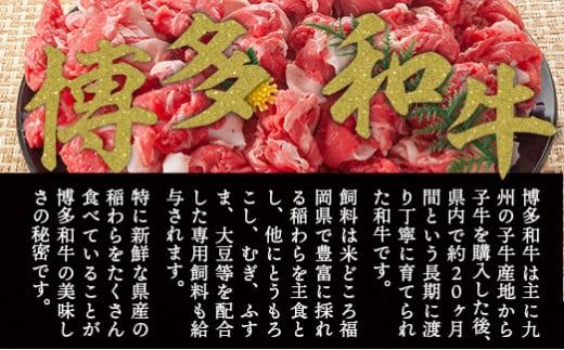 訳あり 博多和牛 切り落とし 500g×10p 計5kg [MEAT PLUS 福岡県 宇美町 um40azp010023] 牛肉 切落し 肉 肩肉 バラ肉 和牛