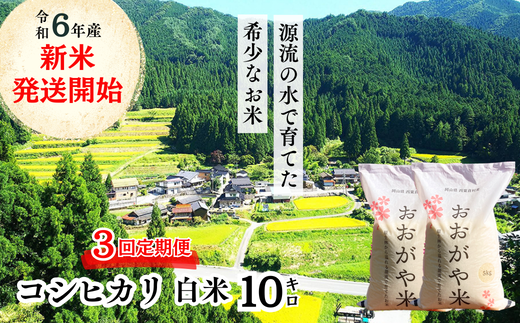 【3回定期便】白米 10kg 令和6年産 コシヒカリ 岡山 「おおがや米」生産組合 G-ag-BDCA