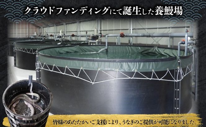 D-632-PE 上峰町産うなぎ200g×2尾