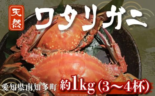 訳あり ボイル ワタリガニ 1kg ( 3~4杯 ) 茹で 渡り蟹 カニ 蟹 魚介 海鮮 新鮮 冷凍 パスタ 鍋 なべ 味噌汁 味噌 みそ 愛知県 南知多町 人気 おすすめ 【離島不可】