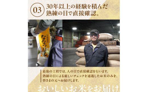 令和7年産 北海道産 ゆめぴりか 5kg【定期便6回】_Y138-0035