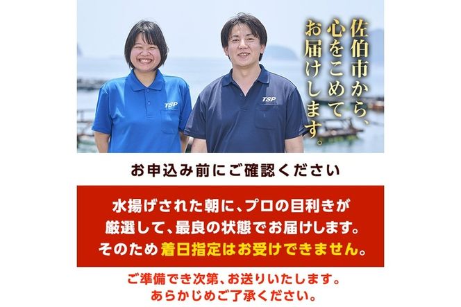 豊後ぶりフィーレ (計約1.1kg) 鰤 真空パック 刺身 さしみ 刺し身 照り焼き ブリしゃぶ しゃぶしゃぶ 大分県 佐伯市【GD002】【東海シープロ (株)】