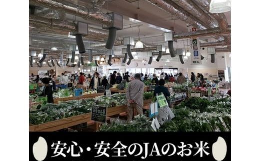 【1月発送】【定期便】令和7年産 新米 5kg 3ヶ月 京都丹波産 コシヒカリ 白米＜JA京都 たわわ朝霧＞ 3回定期便 5kg×3回 計15kg 毎月発送に合わせて精米