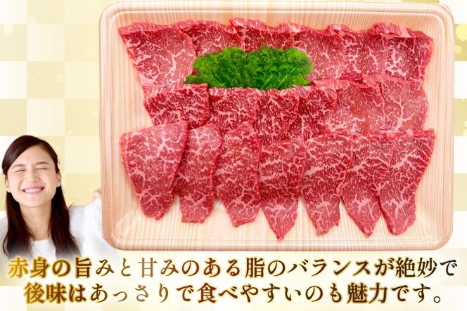 AJ566 【6回定期便】長崎和牛 もも 焼肉用 約500g [ 肉 牛肉 和牛 高級 おいしい ステーキ肉 まるしん商会 黒牛 長崎県 島原市 ]