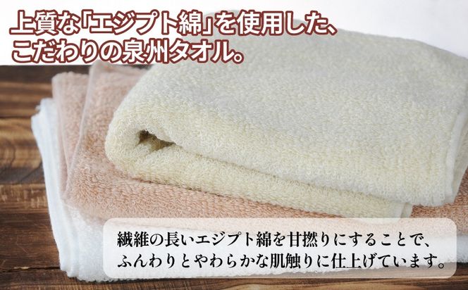G5438 【スピード発送】ナイルフェイスタオル 3枚セット(アソート) エジプト綿 泉州タオル