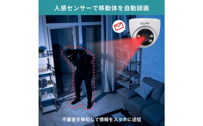 ドーム型カメラ　TBC-DC300 272183_AZ178