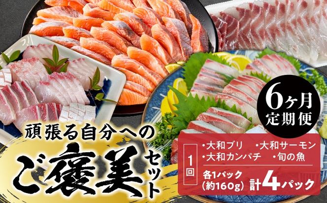 y{茧szy6ցz撣鎩ւ̂JZbg N072-YG0231