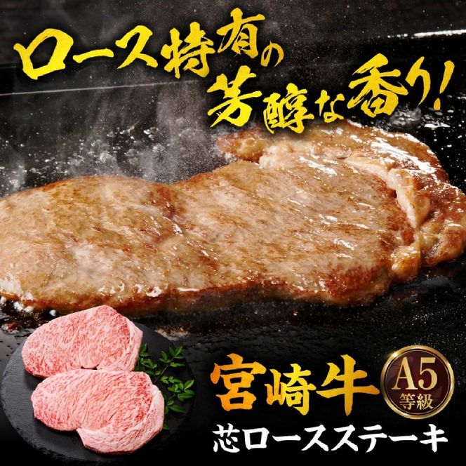 【A5等級宮崎牛】芯ロースステーキ・肩ローススライスセット（小林市産 牛肉 和牛 特選 贅沢 厳選和牛 ブランド牛 ギフト 贈答）