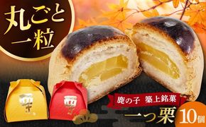 【老舗の菓子屋 鹿の子】和菓子 「一つ栗」 10個《築上町》【有限会社 御菓子司 鹿の子】[ABAC022]