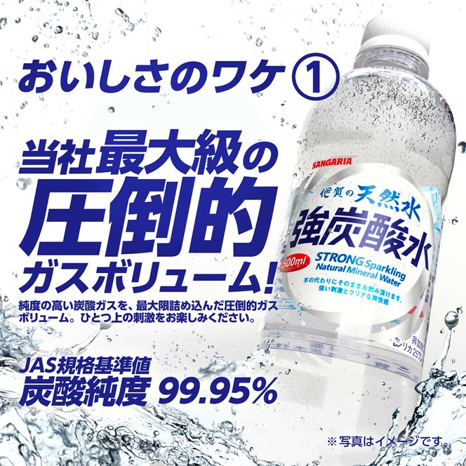 【2ヶ月定期便】サンガリア　伊賀の天然水　強炭酸水　1ケース（1L×12本）【igge-tkb0009】