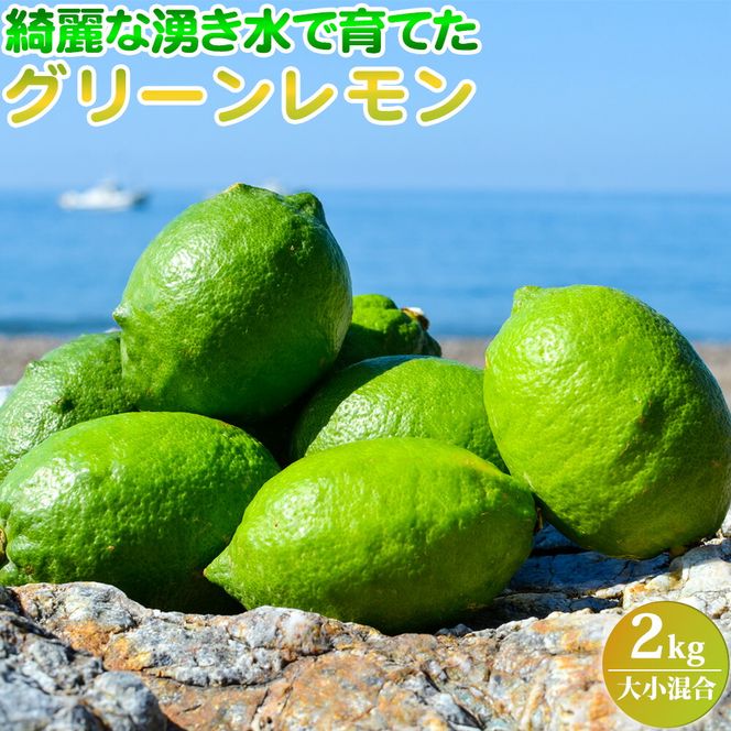 EA6042n_【2026年先行予約】綺麗な湧き水で育てた グリーンレモン 2kg (大小混合)