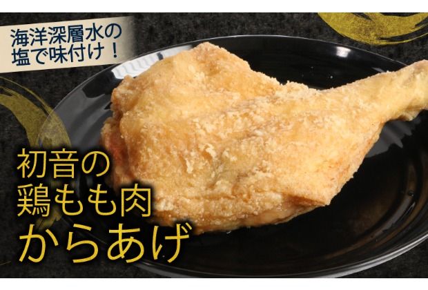 【選べる隔月６回定期便】 初音の鶏もも肉料理 ３本 鶏もも肉 阿波彩どり 鶏肉 骨付き肉 骨付鳥 惣菜 簡単調理 定期便 冷凍 送料無料 タレ 塩 からあげ チキンカツ おかず