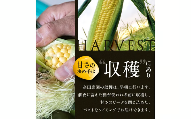 ［2026年先行予約］牛窓産とうもろこし まるでフルーツ！最高糖度25度超え 生で甘い、茹でて美味い！ 黄色 とうもろこし 「桃太郎コーン」約4kg（8～12本入り） 野菜[№5735-0982]