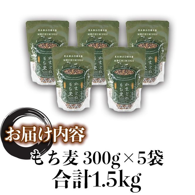 isa256 鹿児島県伊佐市産もち麦！＜ダイシモチ＞(計1.5kg・300g×5袋) ふるさと納税 伊佐市 特産品 国産 九州産 訳あり 麦 ごはん 穀類 お米 ヘルシー 腸活 食物繊維 【社会福祉法人ひまわり福祉会】