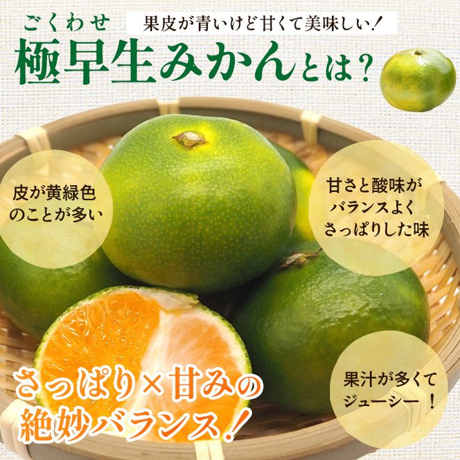 〈定期便〉【10・11・12月 全3回】極プレミアム 有田みかん定期便 1kg+250g （傷み補償分） ※北海道・沖縄・離島への配送不可
