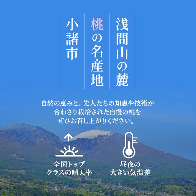 桃 先行予約 浅間水蜜桃 なつっこ 約5kg 秀品 13～22玉 贈答品 フルーツ 果物 白桃 甘い 冷蔵